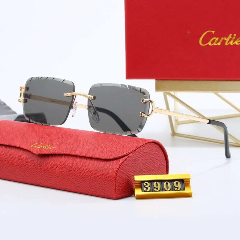 Sunglasses Cartier CTR007